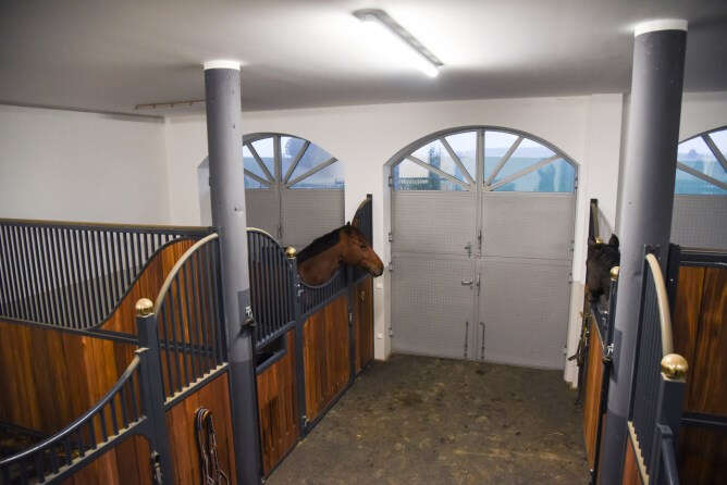 KERBL Stallkamera IPCam 360 FHD